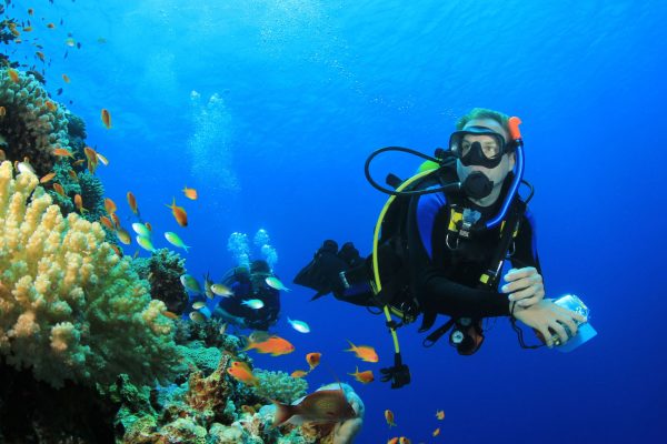 Fotos_catalogo_BzSports_MERGULHO ARRAIAL